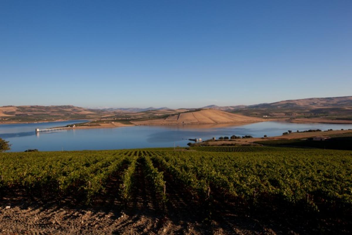 Terroir, il cammino del sud